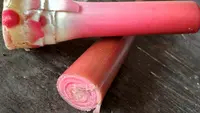 Batang Kecombrang Bisa Dimasak? Ini Caranya Agar Tidak Langu