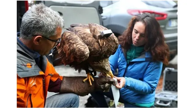 Eagle Wings Foundation (sumber: reuters)