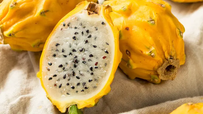 Viral Buah Naga Golden, Apa Bedanya dengan Buah Naga Biasa?