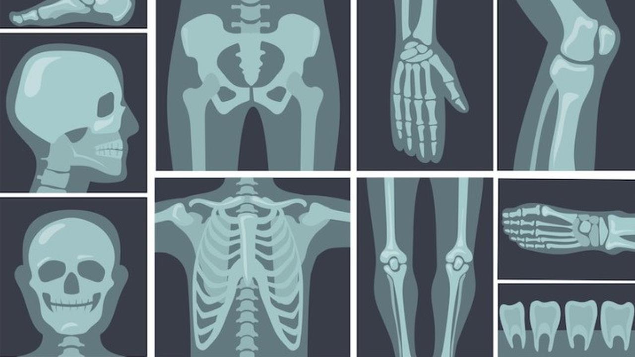 ilustrasi tulang di tubuh manusia