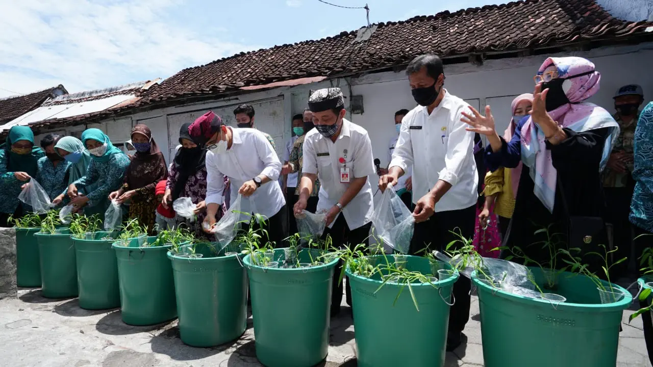 Bak Daya Lekung, Cara Kreatif Banyuwangi Dorong Warganya Konsumsi Ikan