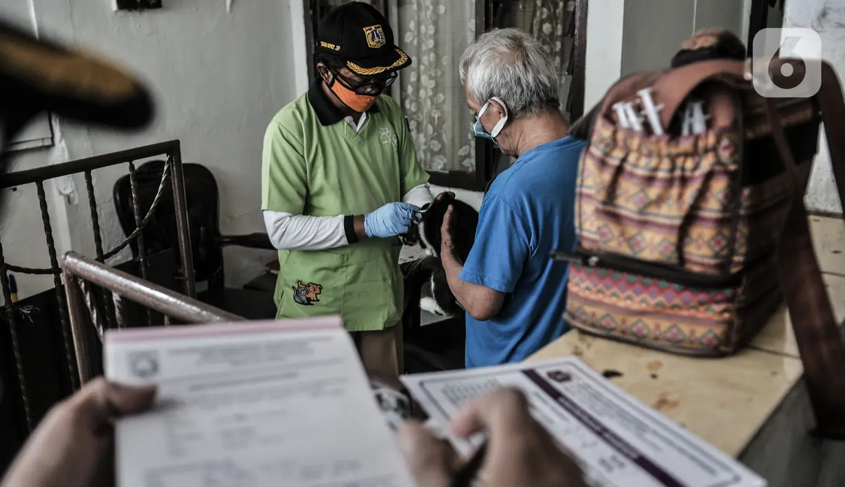 Petugas Sudin KPKP Jakpus melakukan vaksinansi rabies hewan peliharaan dengan sistem jemput bola di Gang Kingkit, Kebon Kelapa, Gambir, Selasa (3/11/2020). Selain di Pos RW setempat, vaksinasi rabies secara gratis dilakukan dengan sistem jemput bola ke rumah warga. (merdeka.com/Iqbal S Nugroho)