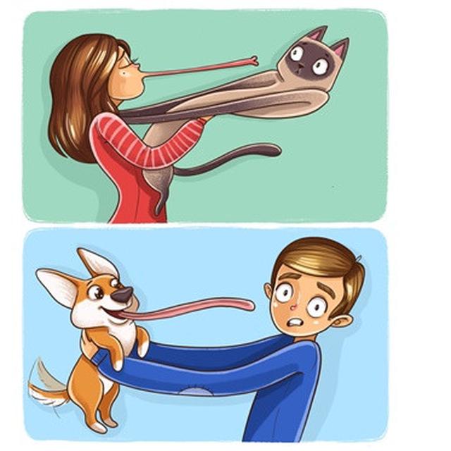 Bikin Gereget 6 Ilustrasi Ini Tunjukkan Beda Kucing Dan Anjing Saat Bareng Pemiliknya Citizen6 Liputan6 Com