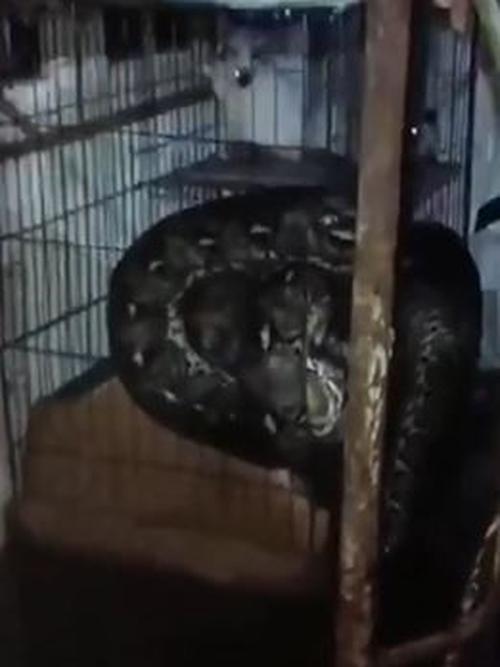 Bobo va nabira anal jinsiy aloqa