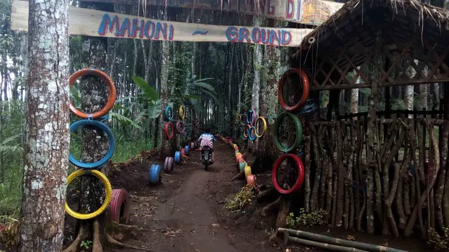Melancong ke Sentra Alpukat di Lereng Gunung Arjuno