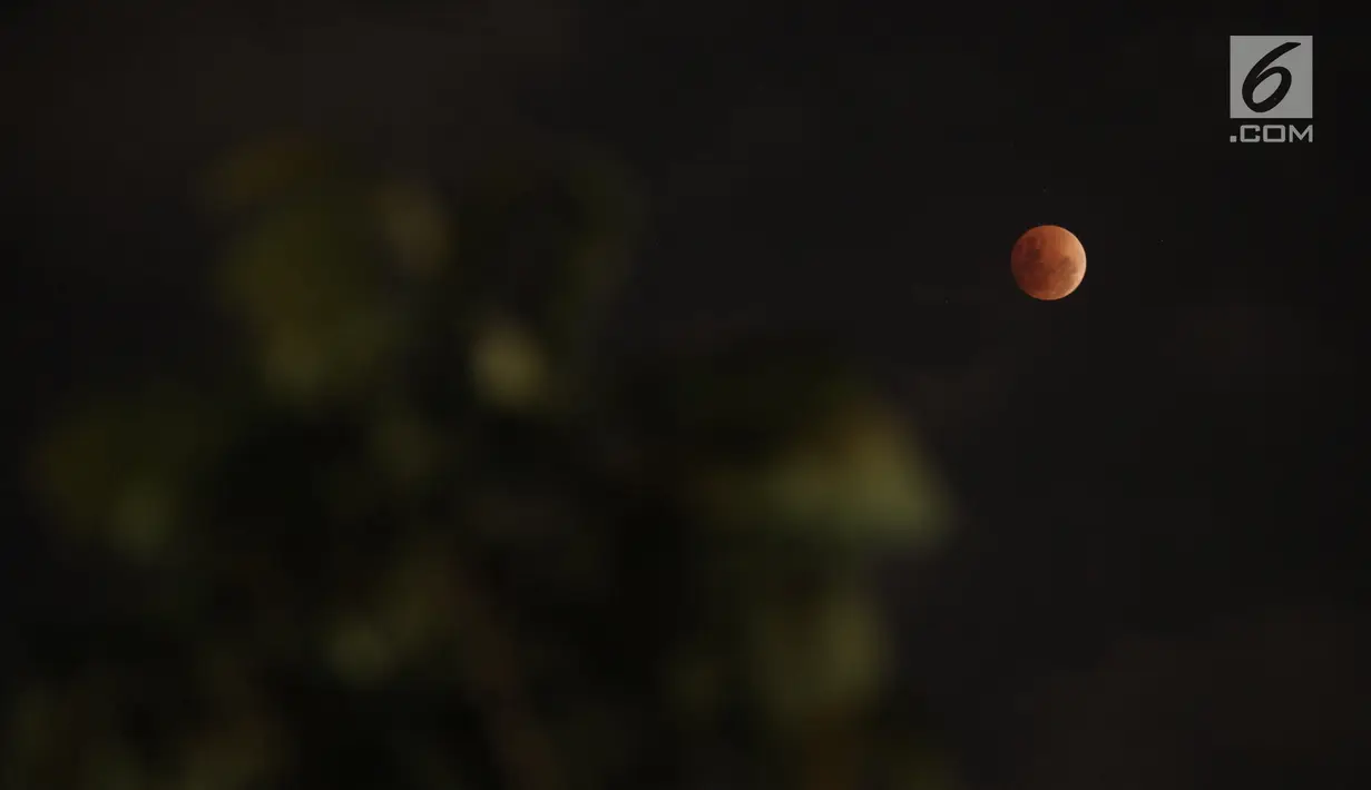 Gerhana bulan "super blue blood moon" terlihat di atas langit Jakarta, Rabu (31/1). Gerhana bulan kali ini berbeda disebut super blue blood moon dimana jarak bulan dengan bumi sangat dekat serta memilik warna yang sangat merah (Liputan6.com/Arya Manggala)