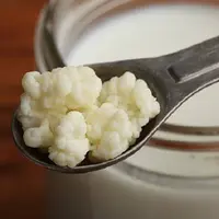 Ilustrasi kefir dan susu. (iStockphoto)