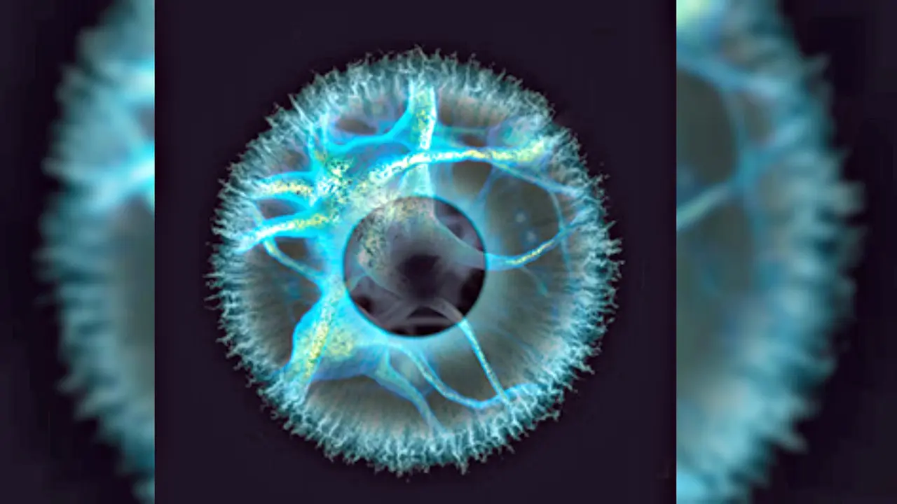 Transplantasi Neuron Berpotensi Sembuhkan Kebutaan
