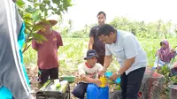 Manfaat Agens Hayati Ramah Lingkungan Dirasakan Para Petani di Bengkulu