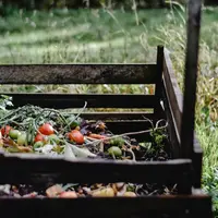 Ilustrasi&nbsp;Simpan Sayur/copyright pexels.com