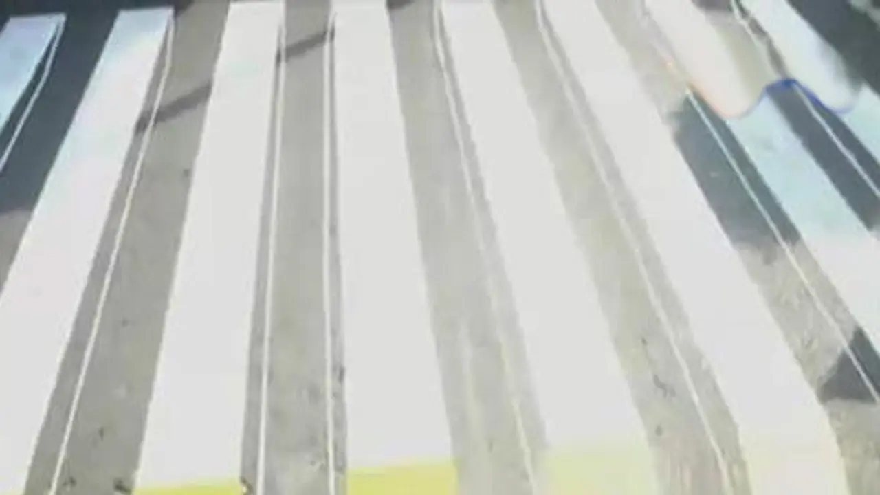 Zebra Cross 3 Dimensi  