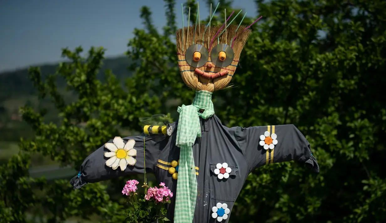 Orang-orangan sawah ditampilkan selama 'Scarecrows Fair' di Castellar, distrik Provinsi Cuneo, Italia, 10 Mei 2019. Dalam acara tahunan tersebut, penduduk membuat orang-orangan sawah kreasi mereka sendiri untuk dipajangkan di kebun, halaman, ladang dan persimpangan jalan. (MARCO BERTORELLO/AFP)