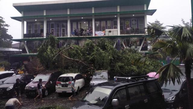 Hujan deras disertai angin kencang menyebabkan pohon tumbang di beberapa titik di Kota Bogor, Jawa Barat, Selasa sore (11/10/2022).