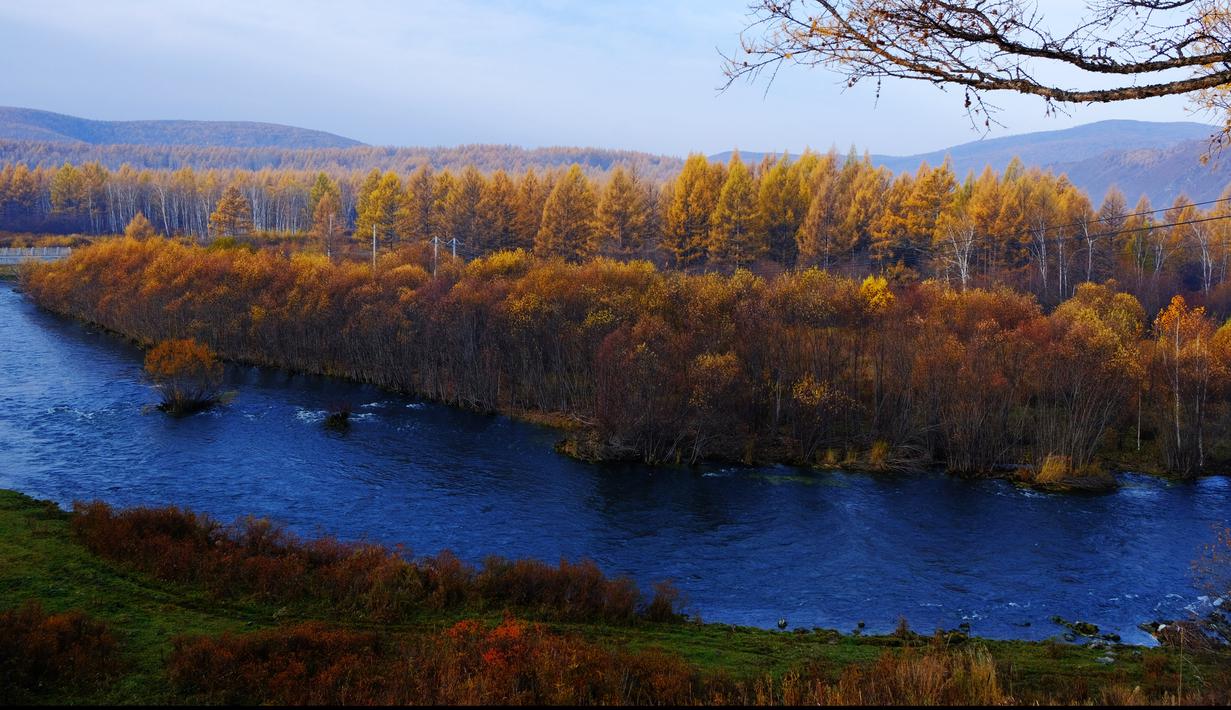 Foto pada 27 September 2020 menunjukkan pemandangan sebuah hutan di Kota Arxan, Daerah Otonom Mongolia Dalam, China. Lahan yang mengalami desertifikasi dan sandifikasi di Mongolia Dalam telah berkurang dalam 15 tahun beruntun. (Xinhua/Jia Lijun)