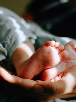 Kenali Shio Kelinci /Unsplash/Omar Lopez