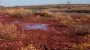 Foto yang diambil 8 September 2016 menunjukkan genangan air berwarna merah di tepi sungai Daldykan di Krasnoyarsk, Rusia. Sungai itu berubah menjadi merah karena tumpahan nikel yang hanyut dari pabrik nikel terbesar di dunia, Norilsk Nickel. (REUTERS)