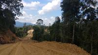 Kementerian PUPR terus melanjutkan pembangunan jalan paralel perbatasan di Kalimantan. (Maul/Liputan6.com)