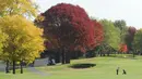 Seorang pegolf bermain di Arlington Lakes Golf Club pada musim gugur yang indah di Arlington Heights, Illinois, Amerika Serikat, 13 Oktober 2020. (Mark Welsh/Daily Herald via AP)