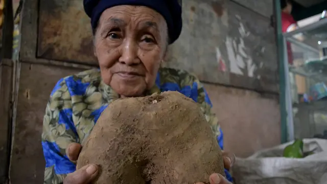 Menggali Potensi Uwi, Umbi yang Kaya Khasiat