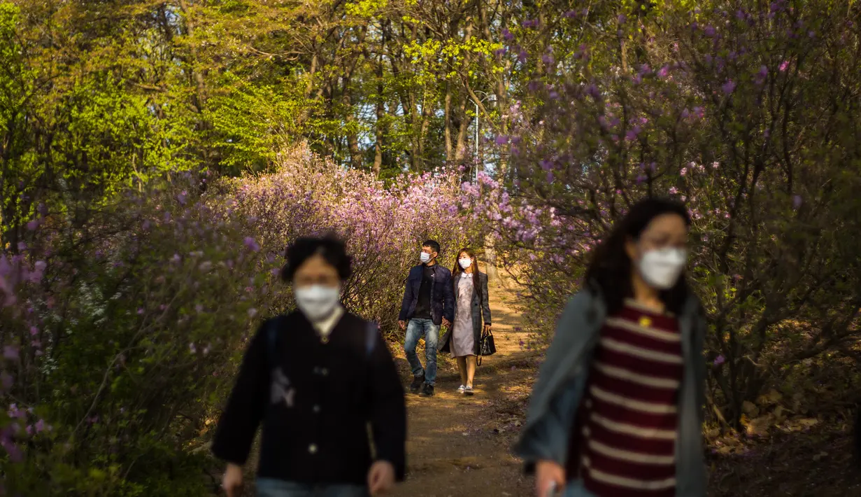 Pengunjung berjalan melewati semak bunga azalea di Taman Wonmi di Bucheon, sebuah kota di pinggiran Seoul (19/4/2022). Pada bulan April, saat musim semi mencapai puncaknya, bunga azalea berwarna merah muda dan putih akan memenuhi Taman Wonmi di Bucheon, Seoul. (AFP/ANTHONY WALLACE)