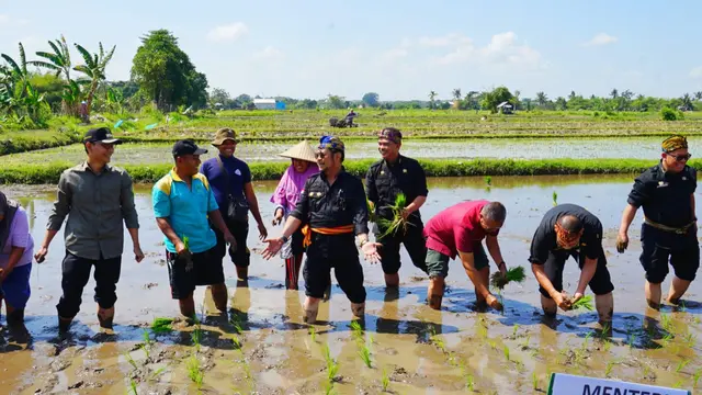 Kementan