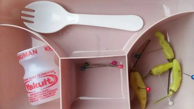 6 Potret Isi Bekal Nyeleneh Ini Bikin Senyum Tipis, Selera Makan Jadi Hilang