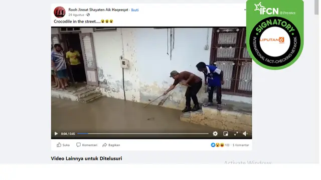 Hoaks video buaya saat banjir