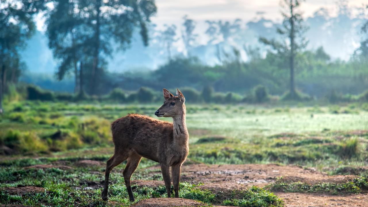 Wisata anak di Bandung