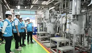 Kejar Program Pembangkit Tenaga Surya, PLN Sempat Terkendala Lahan