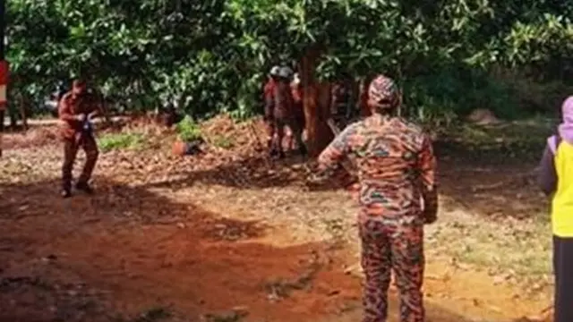 Diduga Halusinasi, Nenek Ini Tak Sadar Panjat Pohon Setinggi 9 Meter