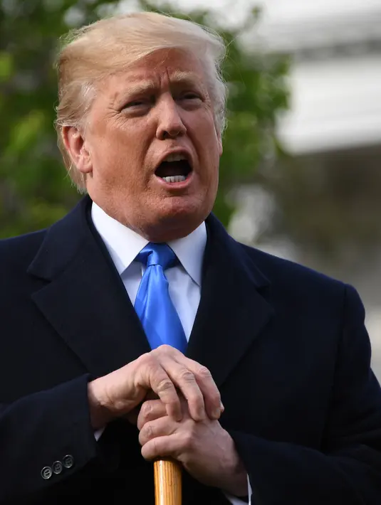 Presiden AS Donald Trump berbicara sambil memegang sekop saat upacara penanaman pohon pemberian Presiden Prancis Emmanuel Macron di South Lawn Gedung Putih, Washington (23/4). (AFP Photo / Jim Watson)