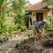 Cara membuat sumur resapan mini di rumah. [Gemini AI]