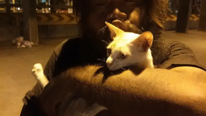 Demi Kasih Makan Kucing, Tuna Wisma Ini Jualan Jeruk Nipis