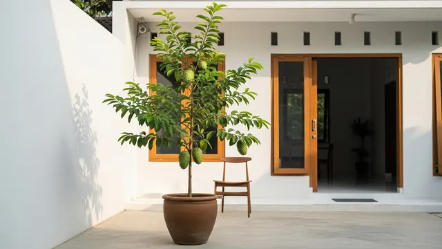 Tabulampot