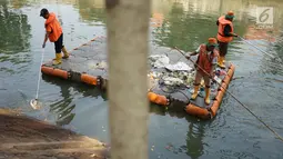 Petugas membersihkan sampah plastik yang mengapung di aliran anak Sungai Ciliwung, Pasar Baru, Jakarta, Selasa (6/8/2019). Perilaku buruk sebagian masyarakat yang membuang sampah sembarangan menyebabkan petugas harus membersihkan sungai setiap hari. (Liputan6.com/Immanuel Antonius)