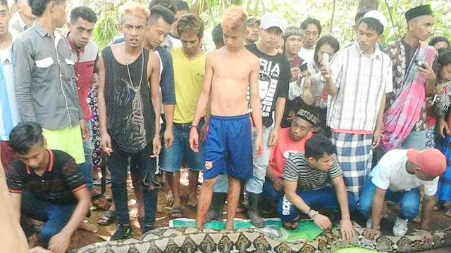 Ular piton yang menelan ibu dua anak