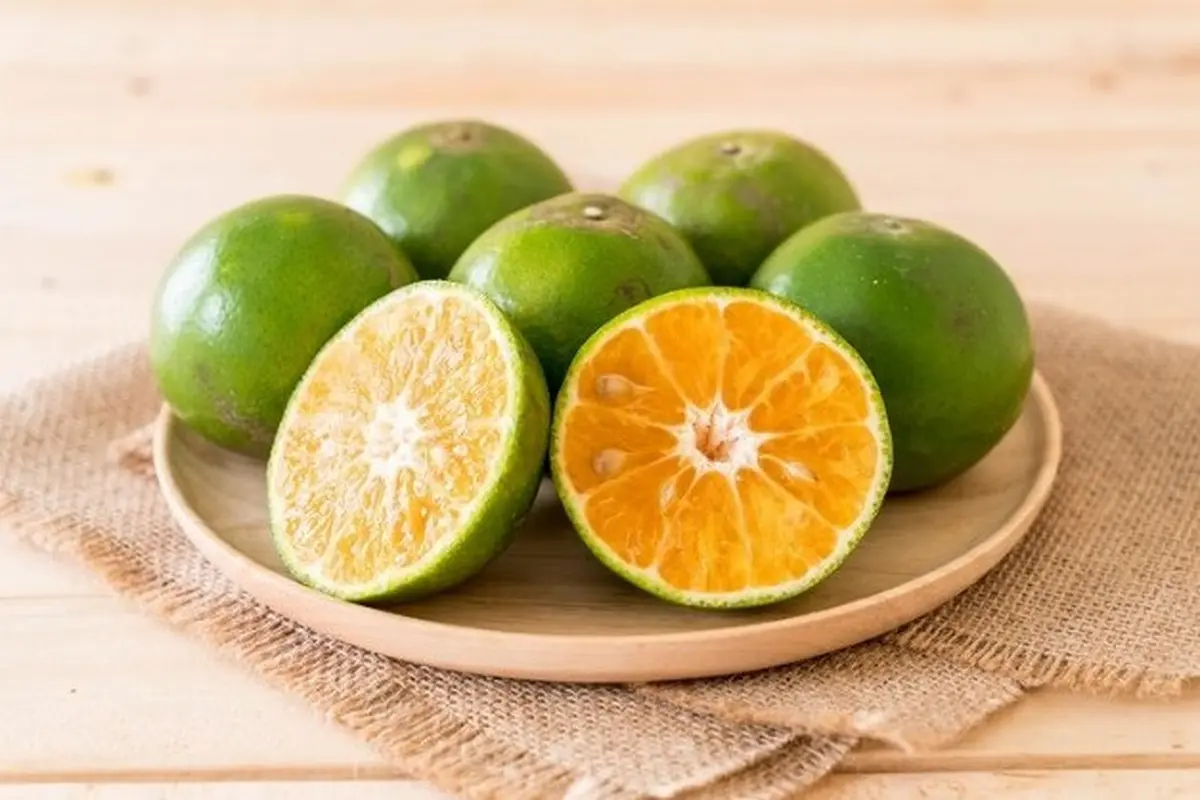 Jeruk Nipis (Sumber: freepik.com/topntp26)
