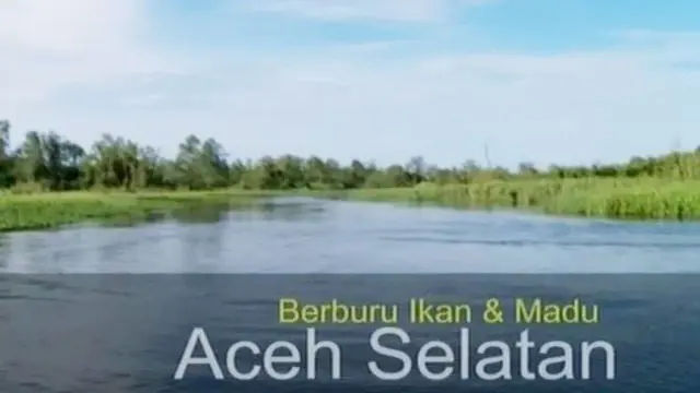 Sejumlah dokumen Gafatar ditemukan di Lampung Timur, hingga petualangan tim Destinasi di kawasan Aceh Selatan.
