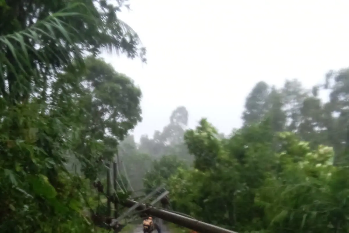 Tiang listrik di Lumajang roboh diterjang angin kencang. (Istimewa)