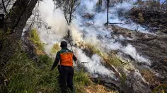 Pemadaman Terus Dilakukan Setelah Karhutla Melanda Gunung Bromo