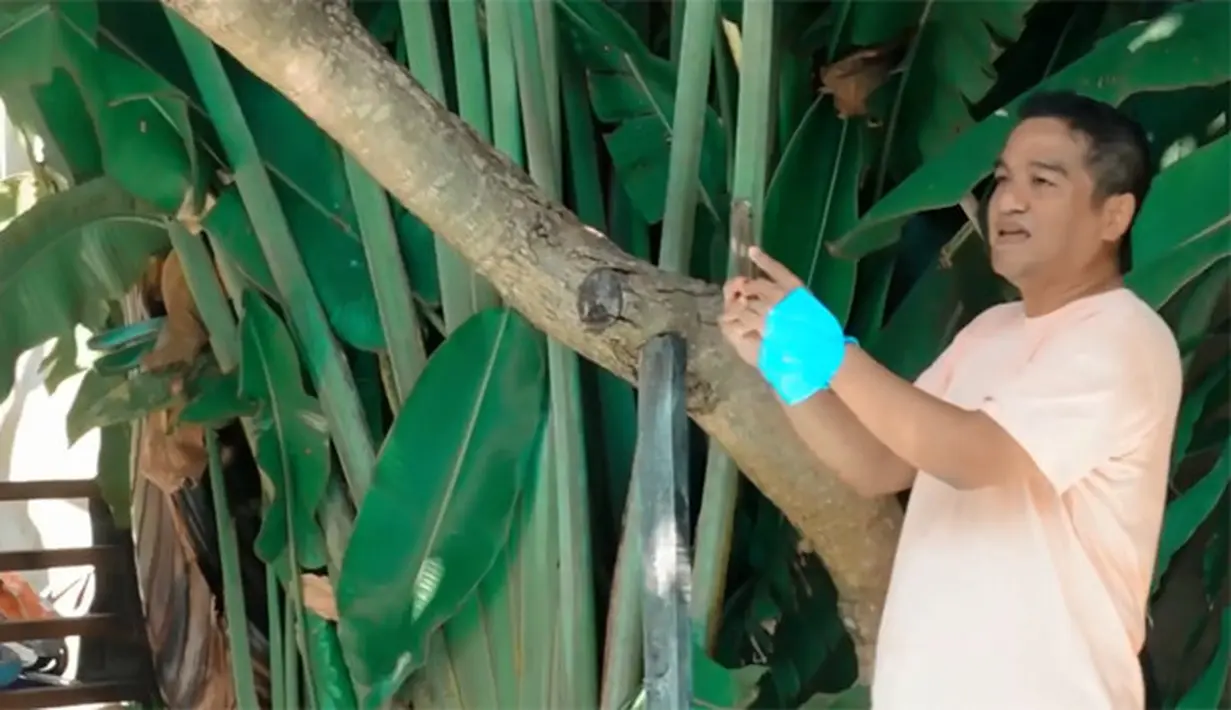 10 Momen Ultah Sophia Latjuba ke-51 (Instagram/sophia_latjuba88)