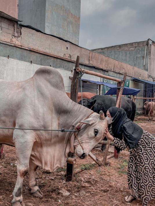 Ria Ricis saat menyium sapi putih yang ia beli untuk kurban pada hari Raya Idul Adha. Istri Teuku Ryan ini dibuat jatuh hati dengan sapi berukuran 1.2ton tersebut. (Instagram/riaricis1795)