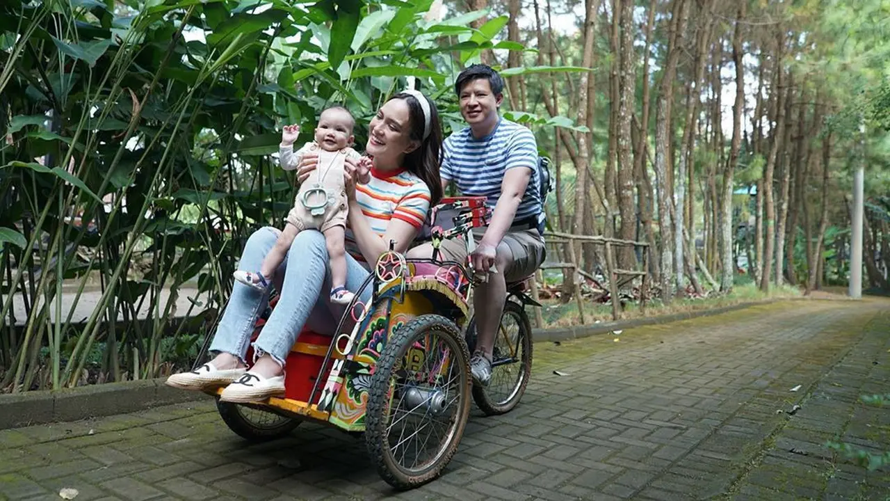 Shandy Aulia
