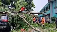 Hujan Angin Picu Pohon Tumbang-Atap Rumah Terbang di Bogor, 7 Kendaraan Rusak