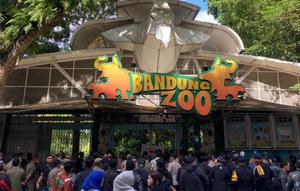 Kementerian Kehutanan (Kemenhut) resmi mencabut izin Yayasan Margasatwa Tamansari (YMT), pihak yang mengelola Kebun Binatang Bandung (Bandung Zoo). (Foto: laman Pemkot Bandung).