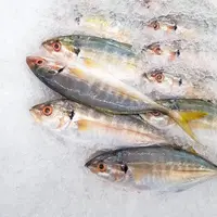 Ilustrasi Ikan (Photo by BuyMeACoffee on Pixabay)