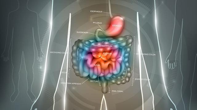 Perbedaan Sindrom Iritasi Usus Besar  dengan Sakit Mag