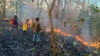 Petugas Balai Taman Nasional Baluran memadamkan api yang membakar  lantai hutan jati secara manual (Istimewa)