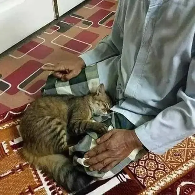 9 Potret Gemas Kucing Temani Orang Beribadah Ini Anteng Banget