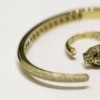 Ilustrasi Gelang Emas Naga (Photo by Atul Mohan on Unsplash)